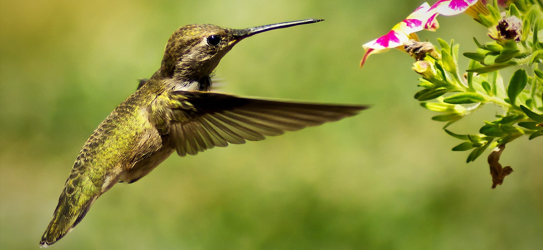 Ken Culver Photography